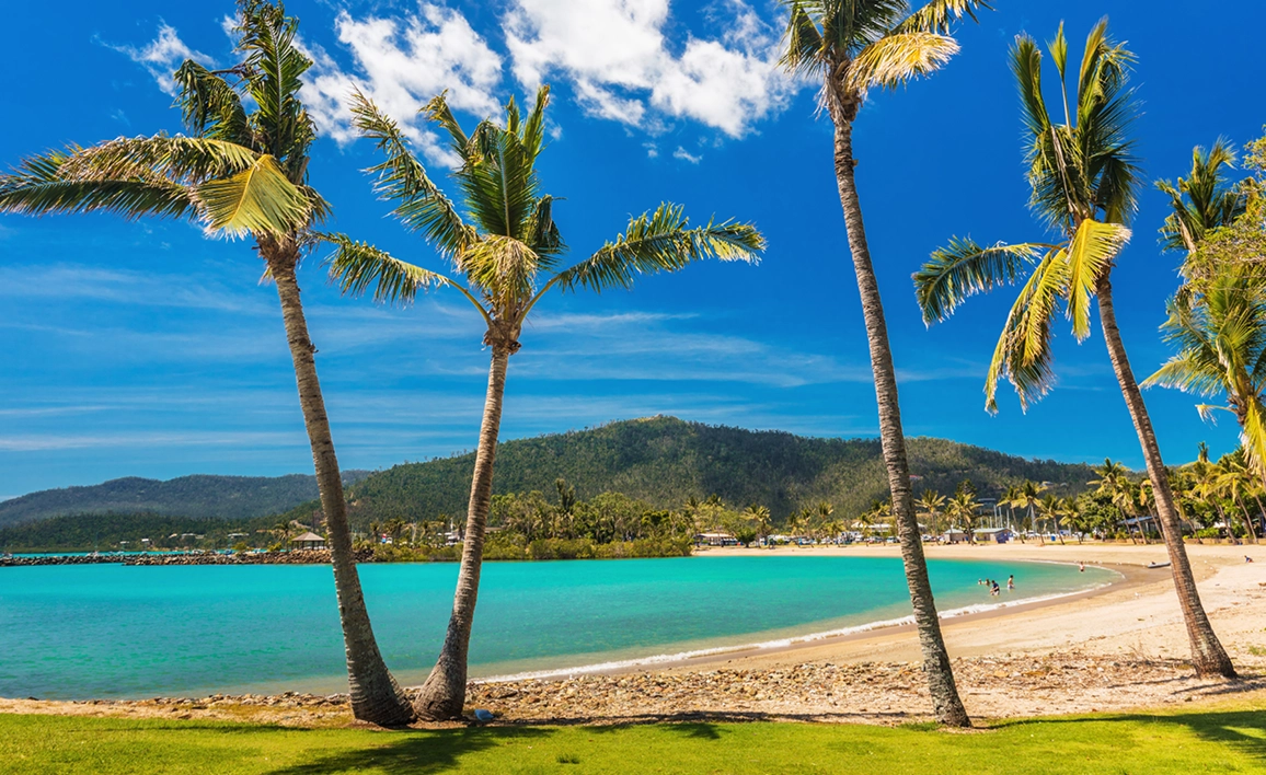 Image of a tropical beach with palm tree's in Queensland