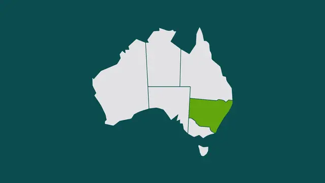 Graphic image of new south wales