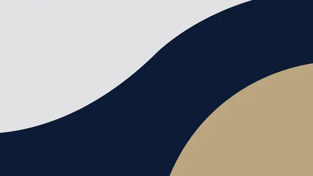 Navy, grey and gold graphic language image 2