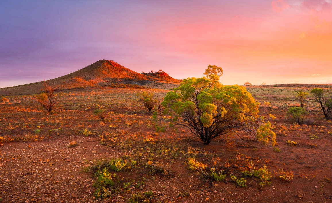 Sunset image of the desert in South Australia